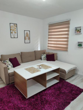 Apartman Kasic